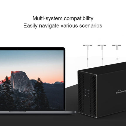 Blueendless Type-C / USB-C Interface 3.5 inch 2 Bay RAID Combination Array HDD External Enclosure, Type-C