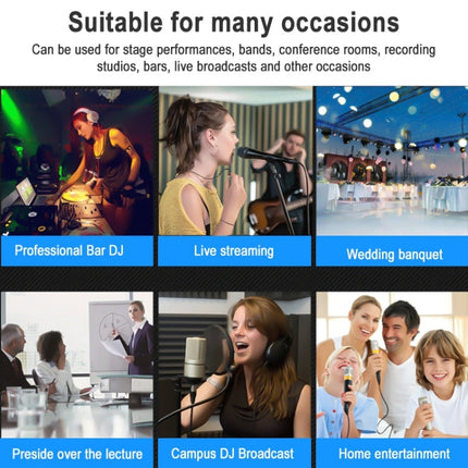 TEYUN NA6 6-channel Small Mixing Console Mobile Phone Sound Card Live Broadcast Computer Recording Console Processor, US Plug, NA6 US Plug