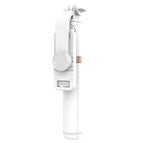 Q03 (White) / White