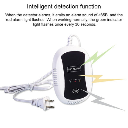 PA-209R Wireless Gas Detection Alarm, AC 100-240V, PA-209R