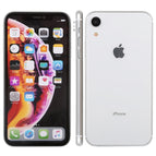 Color Screen XR/White / White