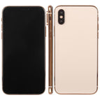 XS/Gold / Gold