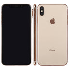 XS Max/Gold / Gold
