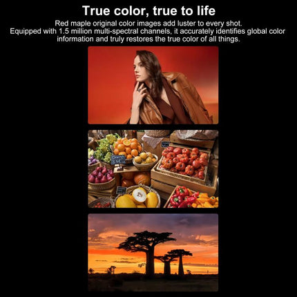 HUAWEI Pura X, 12GB+512GB, Side Fingerprint Identification, 6.3 inch + 3.5 inch HarmonyOS 5.0.1 Octa Core, NFC, OTG, Not Support Google Play