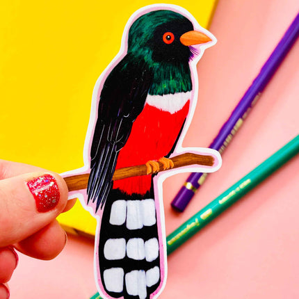 Birbfest 2025 Illustrated Birds 10cm Vinyl Sticker