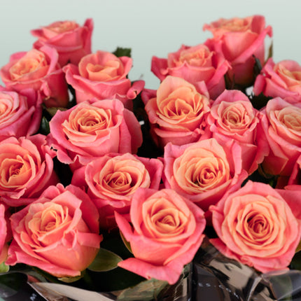 Rose Miss Piggy
