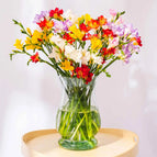 20 Stems