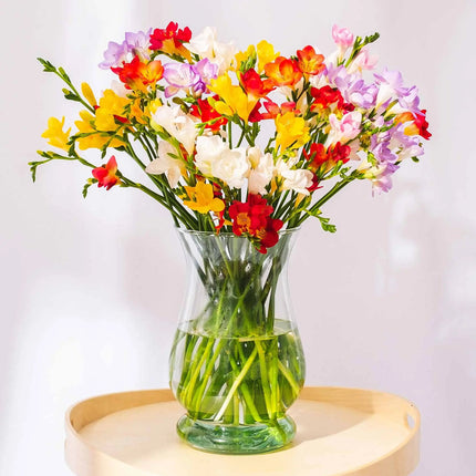 Mixed Guernsey Long Stem Freesia Flowers