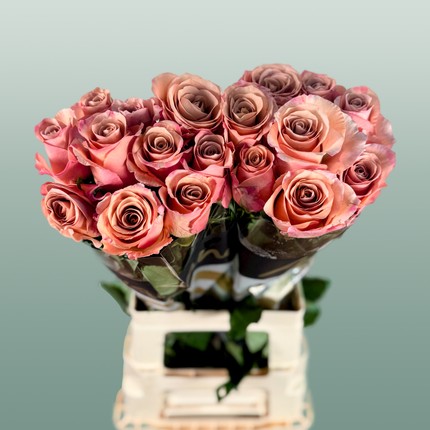 Rose Moccachino