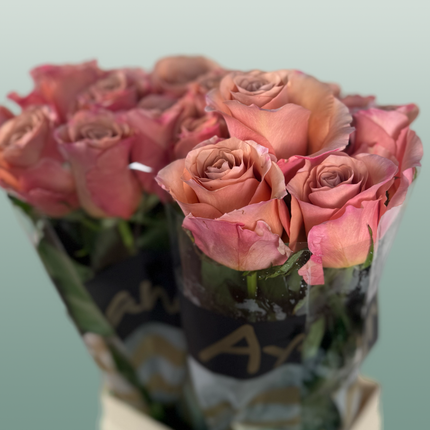 Rose Moccachino
