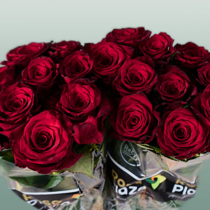 Rose Monte Carlo