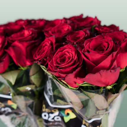 Rose Monte Carlo