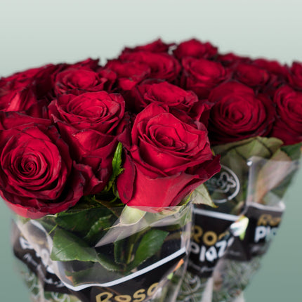 Rose Monte Carlo
