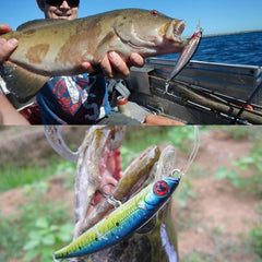 HENGJIA 5 PCS 8.5cm Minnow Plastic Hard Baits Fishing Lures Set Fishing Tackle Baits, 5 PCS 8.5cm