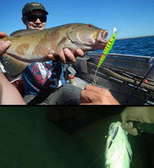 HENGJIA 5 PCS 10.5cm 9.6g 2-section Plastic Hard Baits Fishing Lures Set Tackle Baits, 10.5cm 9.6g