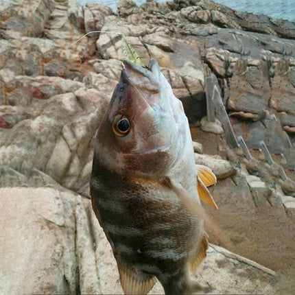 10 PCS 4cm Fishing Soft Artificial Shrimp Bait Lures Popper Poper Baits with Hook, Artificial Shrimp with Hook, Luminous Shrimp with Hook, Pink Shrimp with Hook, Green Shrimp with Hook, Transparent Shrimp with Hook