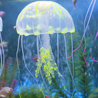 8cm / Yellow
