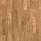 European oak