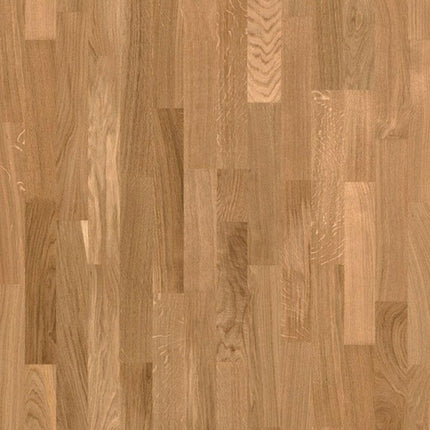 Basketball Court Flooring - Boen Boflex Stadium
