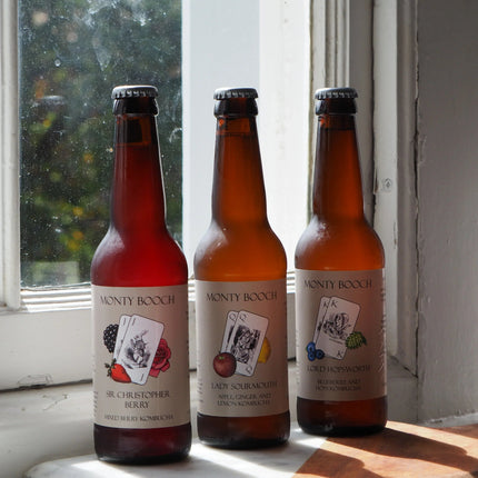 Mixed Case of Raw, Unfiltered Kombucha 330ml (12 or 24 Pack)