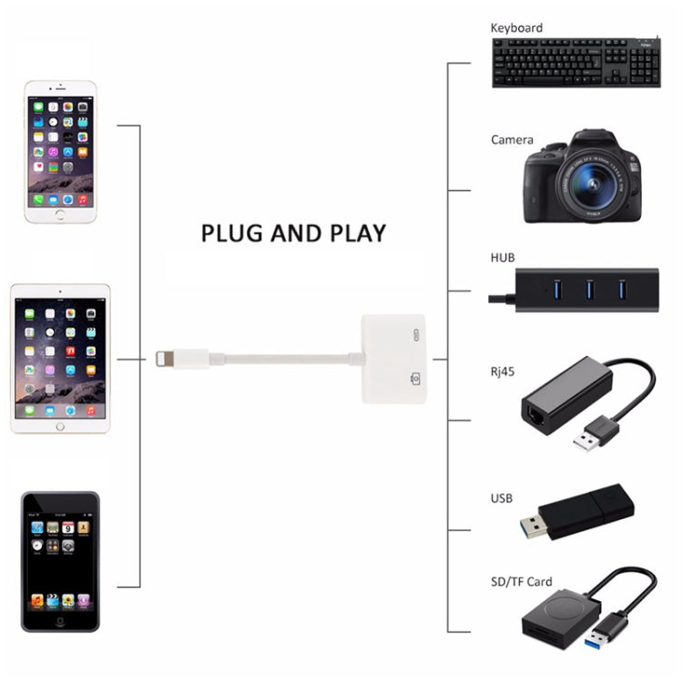 11cm 8 Pin Male to USB & 8 Pin Data Charging Cable Camera Reader Adapter, Support System above iOS 9.2