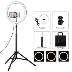 PULUZ 11.8 inch 30cm Light + 1.65m Tripod Mount Curved Surface USB 3 Modes Dimmable Dual Color Temperature LED Ring Vlogging Video Light Live Broadcast Kits with Phone Clamp, 11.8 inch+1.65m Tripod