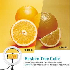 PULUZ 10.2 inch 26cm Marquee LED RGBWW Selfie Beauty Light + Desktop Tripod Mount 168 LED Dual-color Temperature Dimmable Ring Vlogging Photography Video Lights with Cold Shoe Tripod Ball Head & Remote Control & Phone Clamp