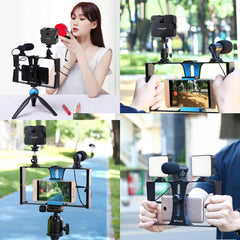 PULUZ 4 in 1 Vlogging Live Broadcast LED Selfie Fill Light Smartphone Video Rig Kits with Microphone + Tripod Mount + Cold Shoe Tripod Head for iPhone, Galaxy, Huawei, Xiaomi, HTC, LG, Google, and Other Smartphones, 4 in 1 Fill Light Rig Kit