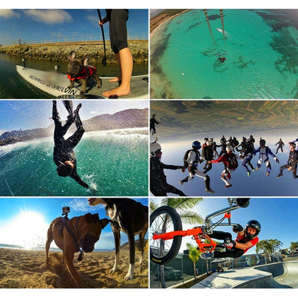 PULUZ Waterproof Carrying and Travel Case for for GoPro, Insta360, DJI and Other Action Cameras Accessories, Medium Size: 23cm x 17cm x 7cm, For GoPro, Size: 23cm x 17cm x 7cm