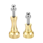 2 Gold Screws (Aluminum) / Gold