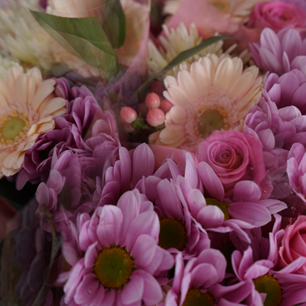 5 Stem Pink Bouquet (10 Bunches)