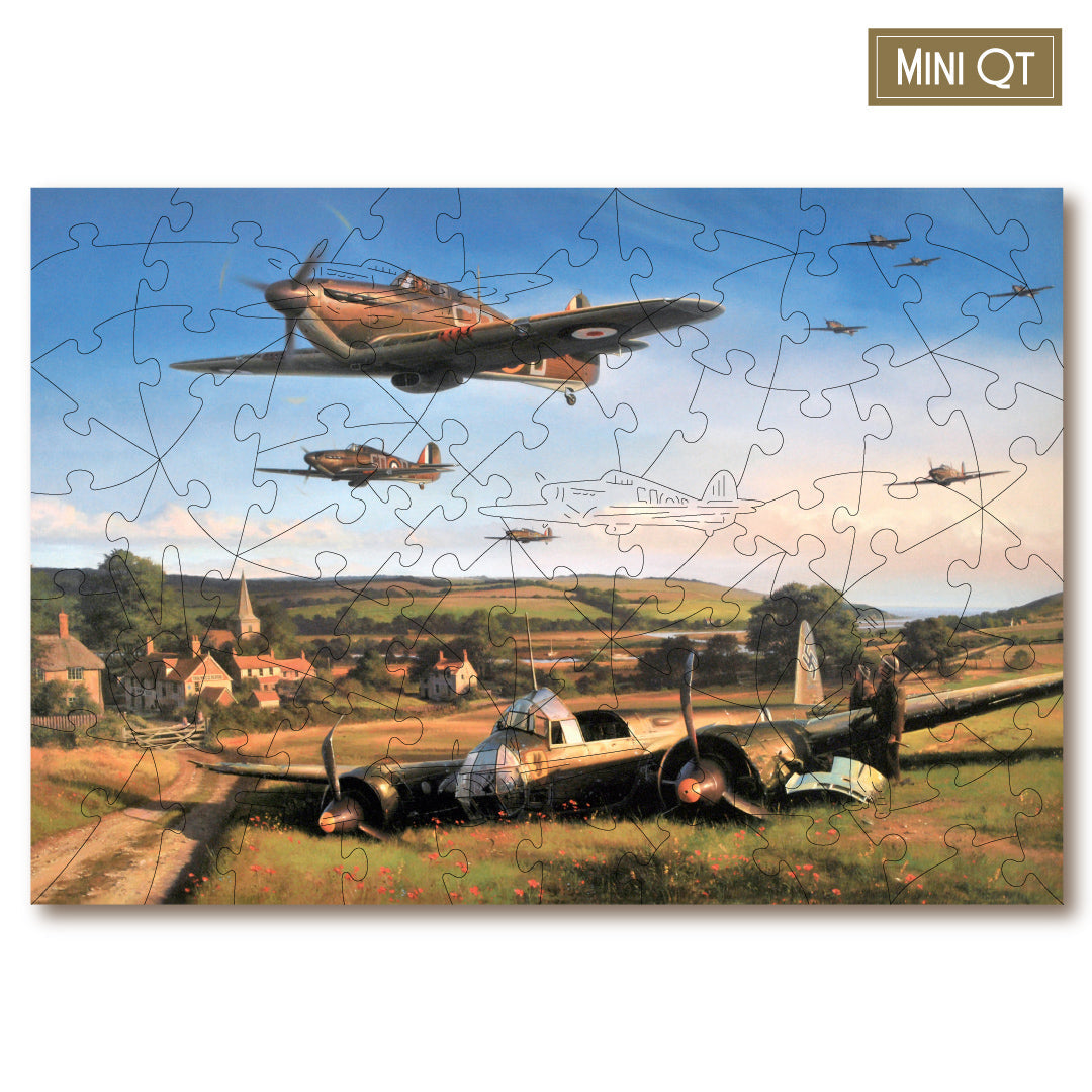 Hurricane Country MINI QT