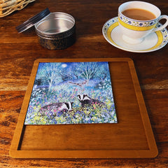 Summer Badgers MINI QT