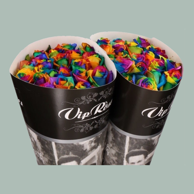 Rose Dyed Rainbow (20 Stems)