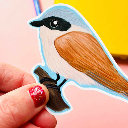 Birbfest 2025 Illustrated Birds 10cm Vinyl Sticker