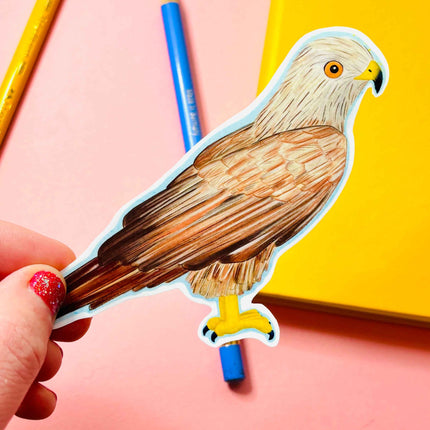 Birbfest 2025 Illustrated Birds 10cm Vinyl Sticker