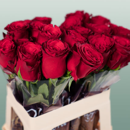 Rose Rhodos (20 Stems)