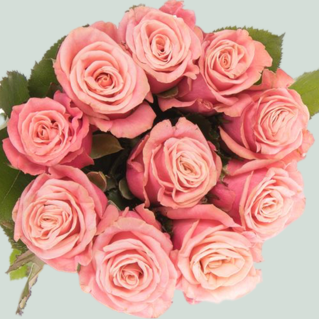 Rose Adele