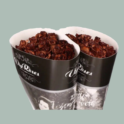 Rose Dyed Brownies (20 Stems)