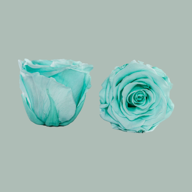 Preserved Roses Cyan (3 Stems)