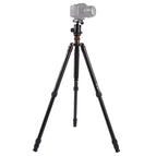 MT-2804C (Black) / S-DCA-0413A