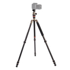 GT-2504X8.C (Gold) / S-DCA-0418C