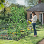 black / United States