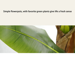 Bird of Paradise Artificial Plants Tree Tropical Faux Banana Silk Tree Fake Banana Leaf Plant with Stalks for Home Office Decor