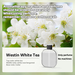 Aromatherapy Diffuser Automatic Scent Sprayer Home Bedroom Toilett Diffuser Spray Air Freshener Deodorizer Diffuser