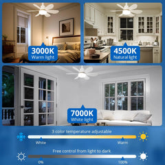 IRALAN Modern ceiling led light fan 52CM 42CM silent with remote control ceiling fan lamp for room office study kitchen