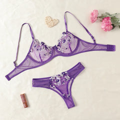 2-Pieces Fancy Sexy Lingerie Set Woman Semi-Sheer Women's Underwear Embroidery Beautiful Bra And Panty Sets Erotic Outfits