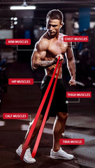 Resistance Band Set Pull Up Assistance Bands Stretch Band Resistance Heavy Workout Exercise for Physical Therapy Home Workouts