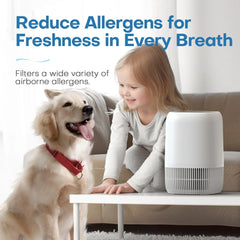 Air Purifiers for Bedroom Home, Air Filter Cleaner with Fragrance Sponge, HEPA Filter for Smoke, Allergies, Pollen, Pet Timer