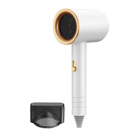 Hair Dryer Professional Salon